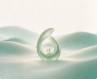 Antenatal & High-Risk Pregnancy Management